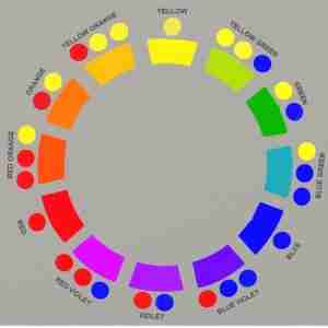 Color Dissection Wheel